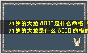 71岁的大龙 🐯 是什么命格「71岁的大龙是什么 🐛 命格的人」